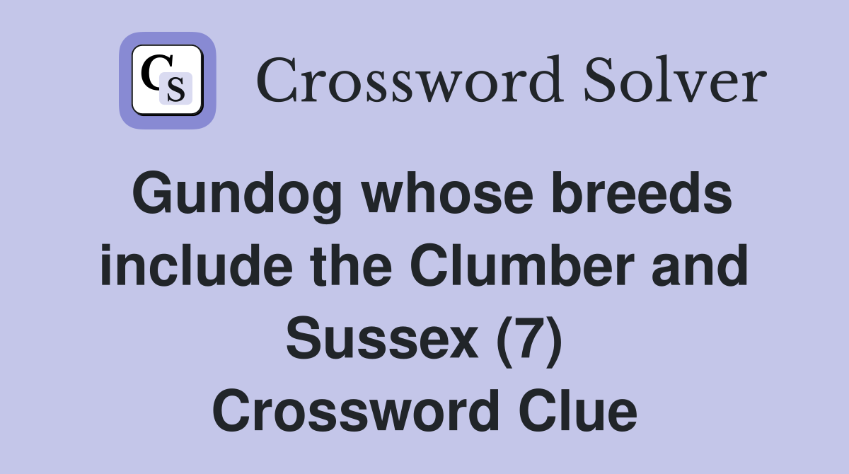 Gundog whose breeds include the Clumber and Sussex (7) Crossword Clue