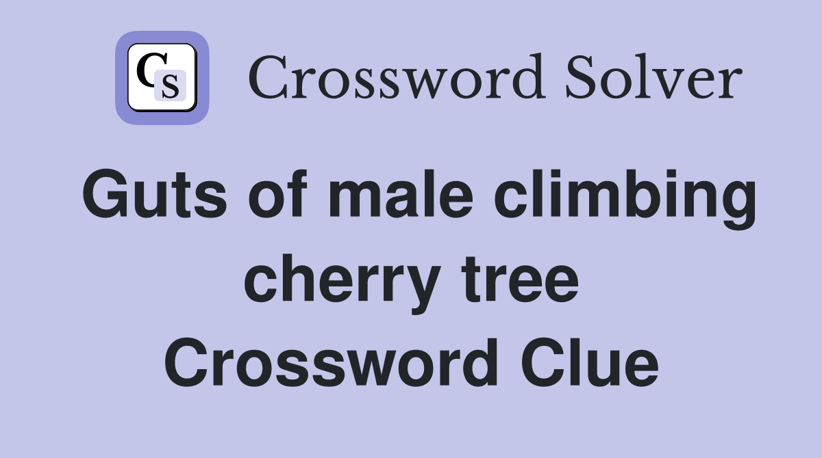 Guts of male climbing cherry tree Crossword Clue