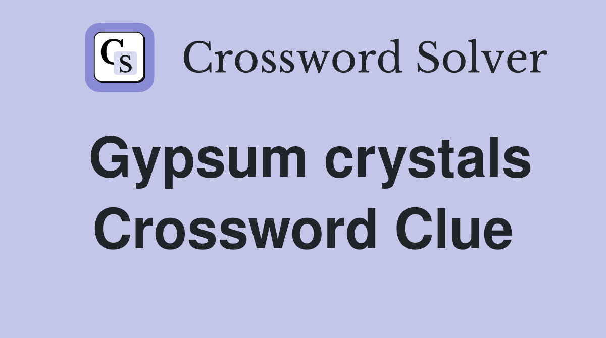 Gypsum crystals Crossword Clue