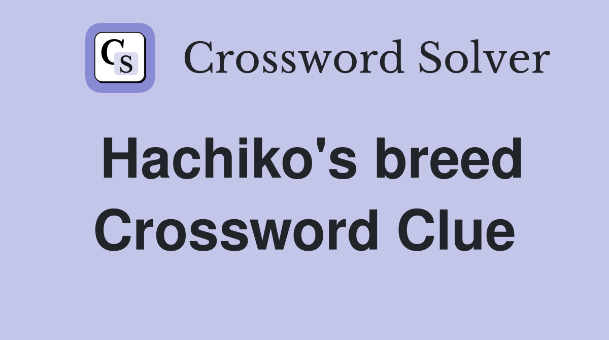 Hachiko's breed Crossword Clue
