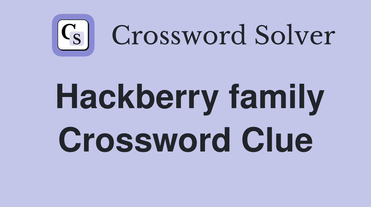 Hackberry family Crossword Clue