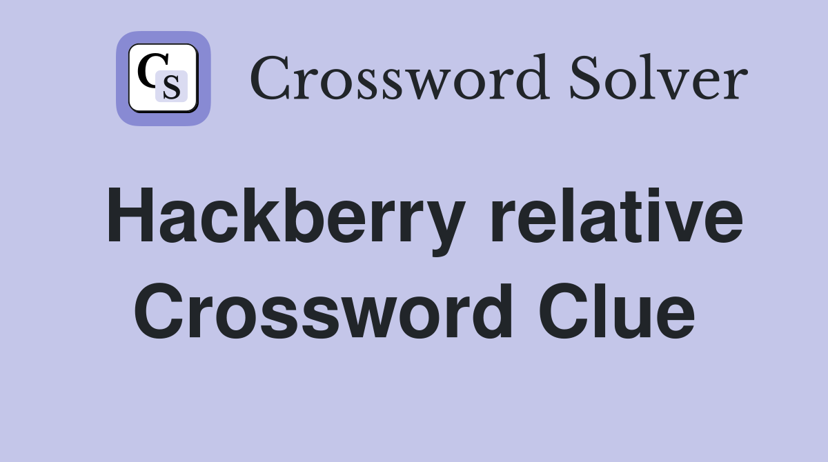 Hackberry relative Crossword Clue