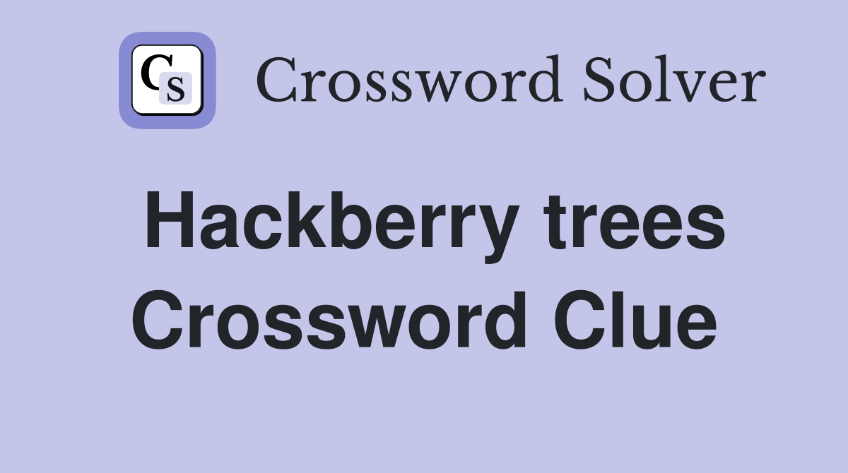 Hackberry trees Crossword Clue