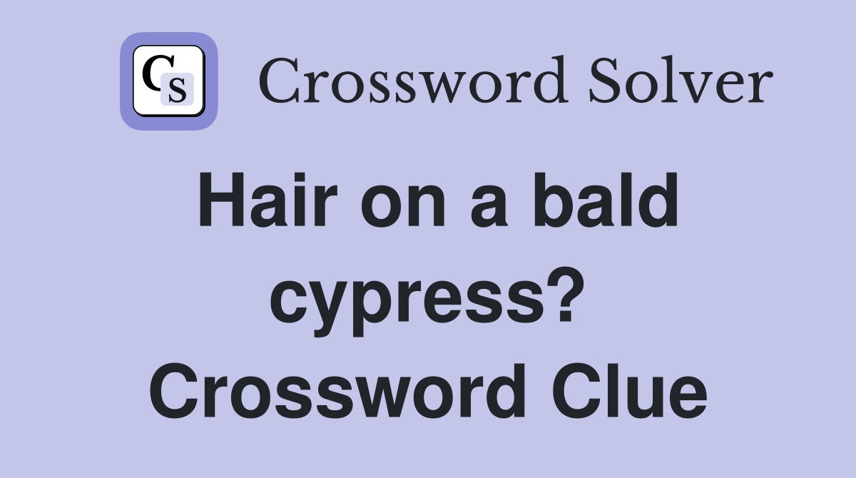 Hair on a bald cypress? Crossword Clue