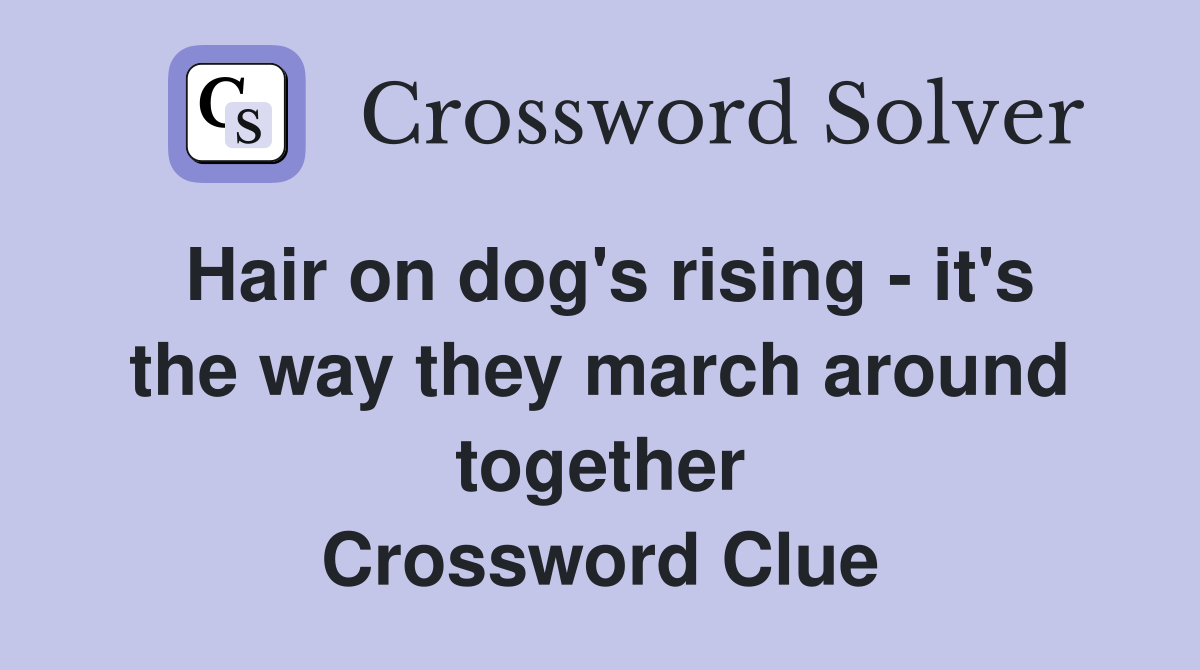 Hair on dog's rising - it's the way they march around together Crossword Clue