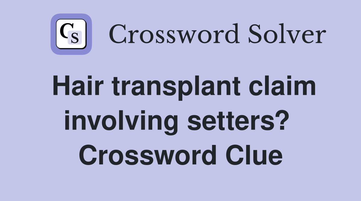 Hair transplant claim involving setters?  Crossword Clue