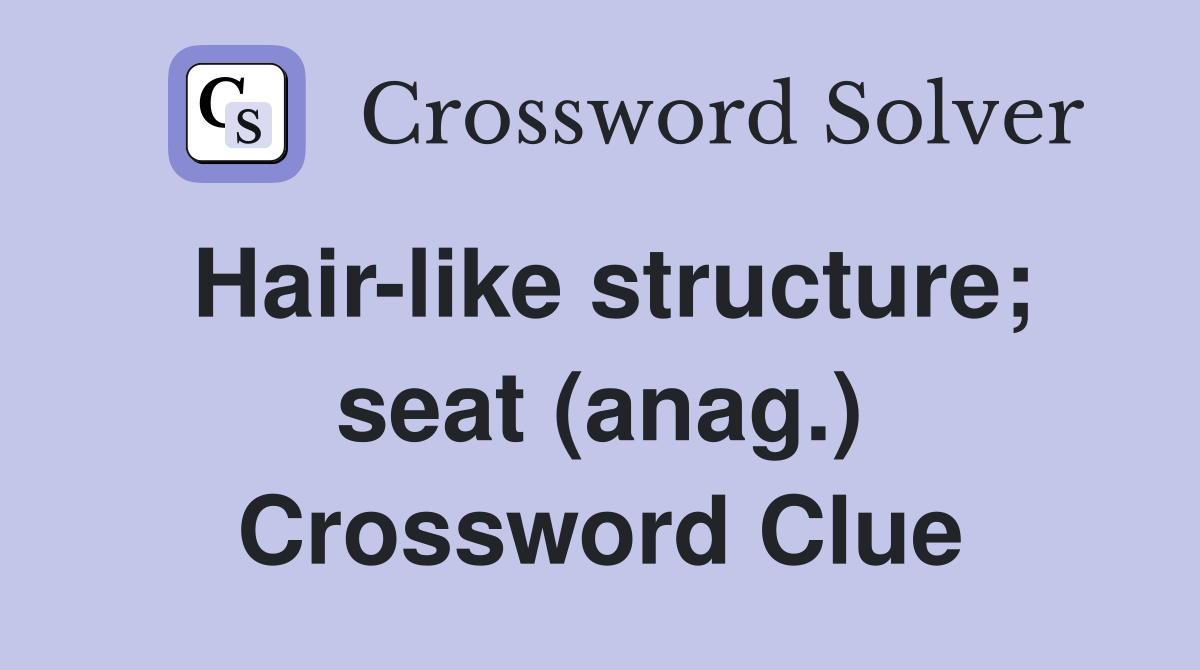 Hair-like structure; seat (anag.) Crossword Clue