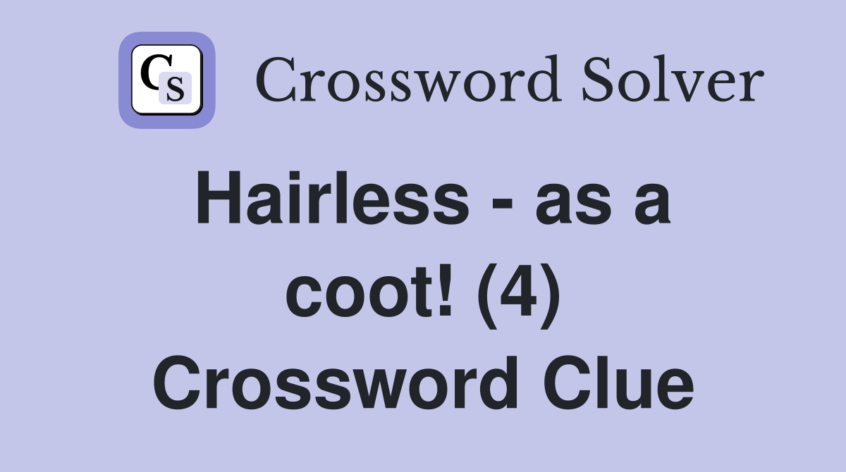 Hairless - as a coot! (4) Crossword Clue