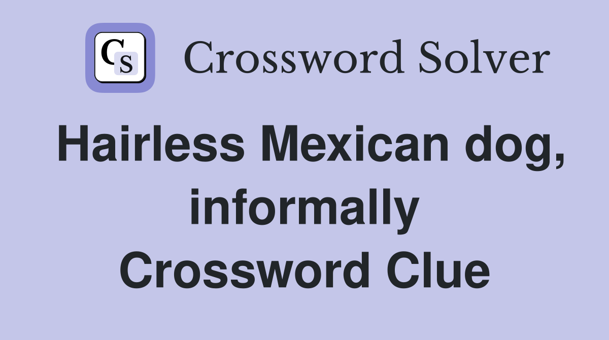 Hairless Mexican dog, informally Crossword Clue
