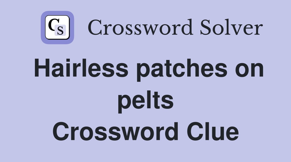Hairless patches on pelts Crossword Clue