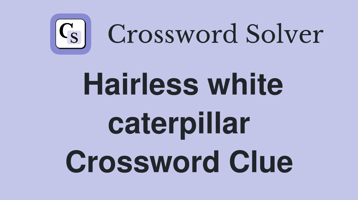 Hairless white caterpillar Crossword Clue