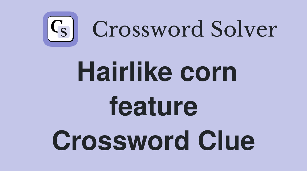 Hairlike corn feature Crossword Clue