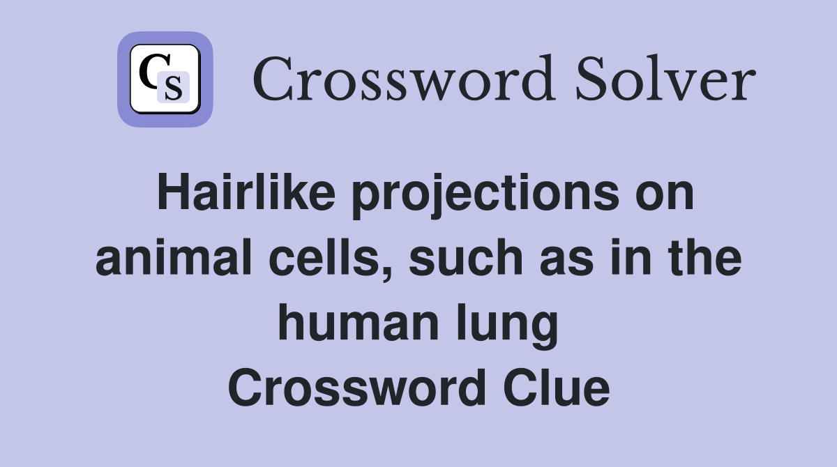 Hairlike projections on animal cells, such as in the human lung Crossword Clue