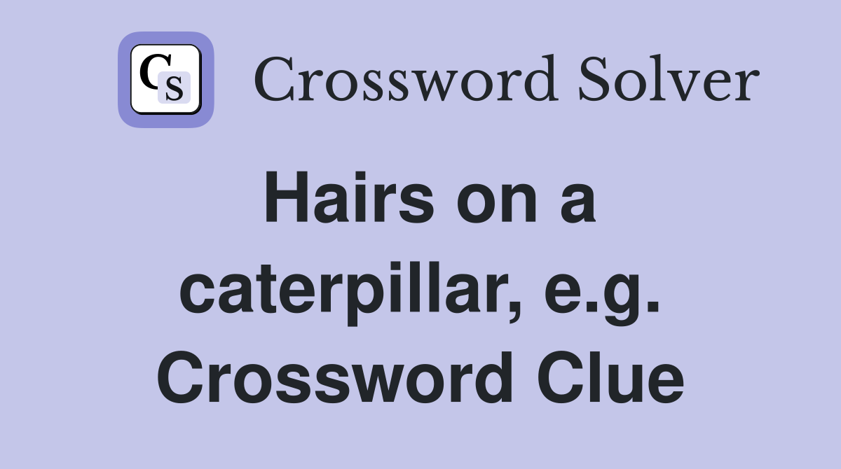 Hairs on a caterpillar, e.g. Crossword Clue