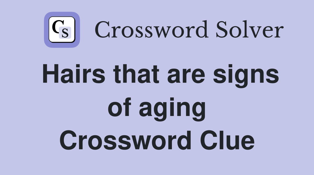 Hairs that are signs of aging Crossword Clue