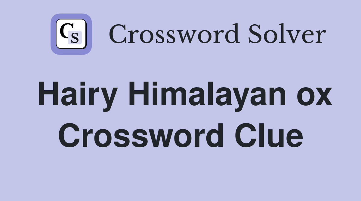 Hairy Himalayan ox Crossword Clue