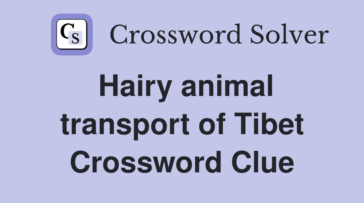 Hairy animal transport of Tibet Crossword Clue