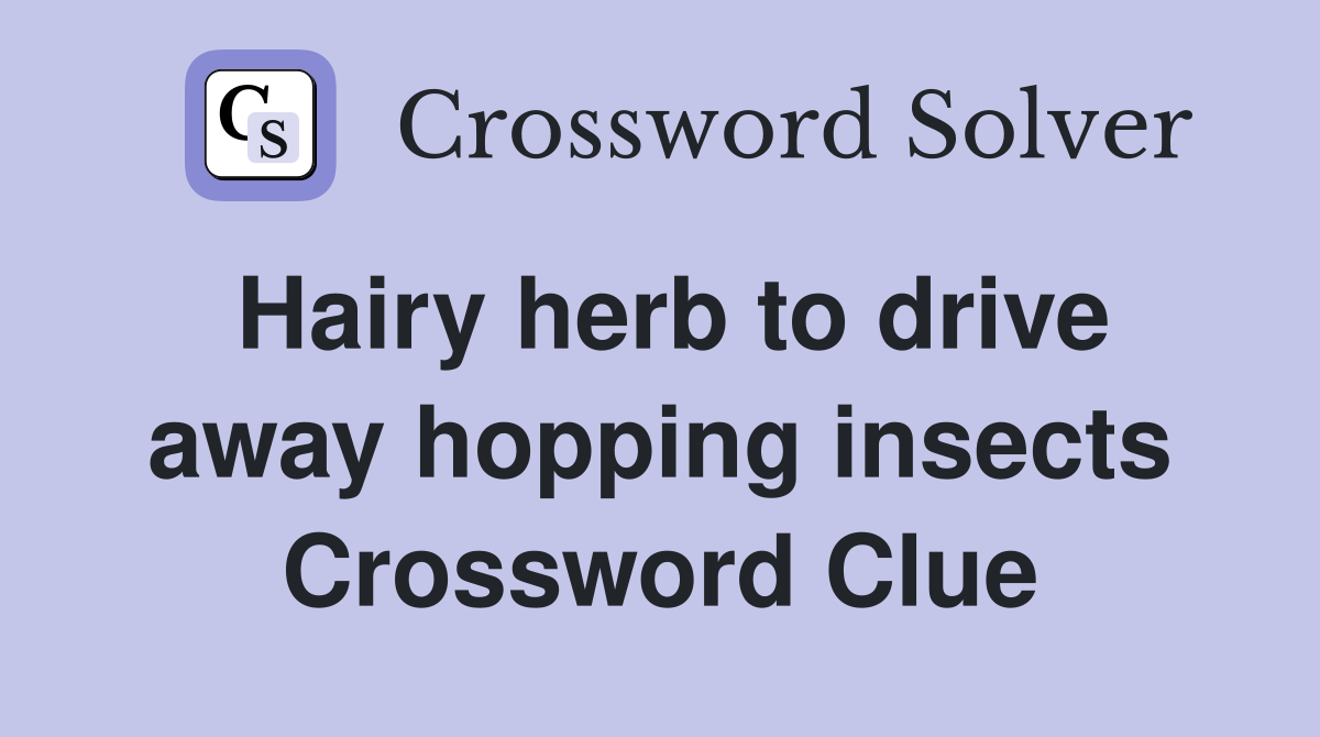 Hairy herb to drive away hopping insects Crossword Clue