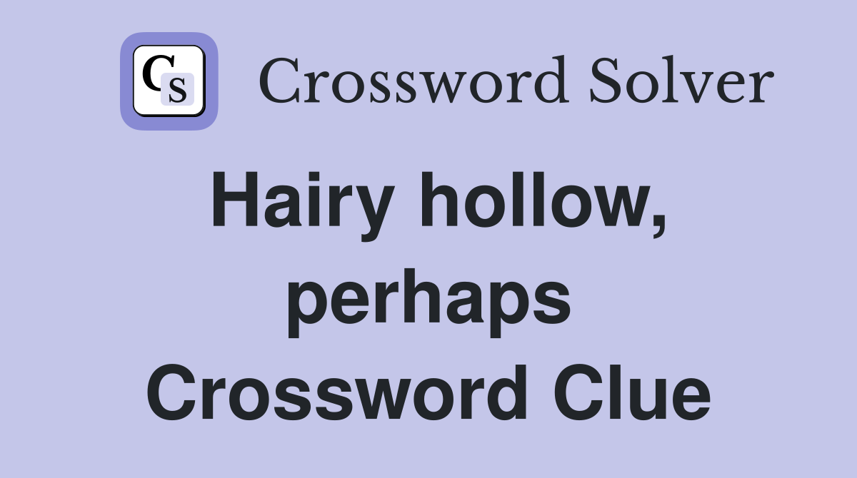 Hairy hollow, perhaps Crossword Clue