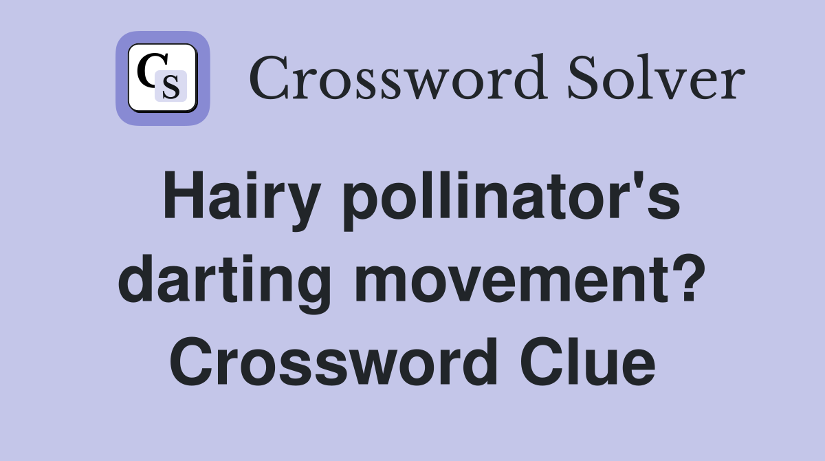 Hairy pollinator's darting movement? Crossword Clue