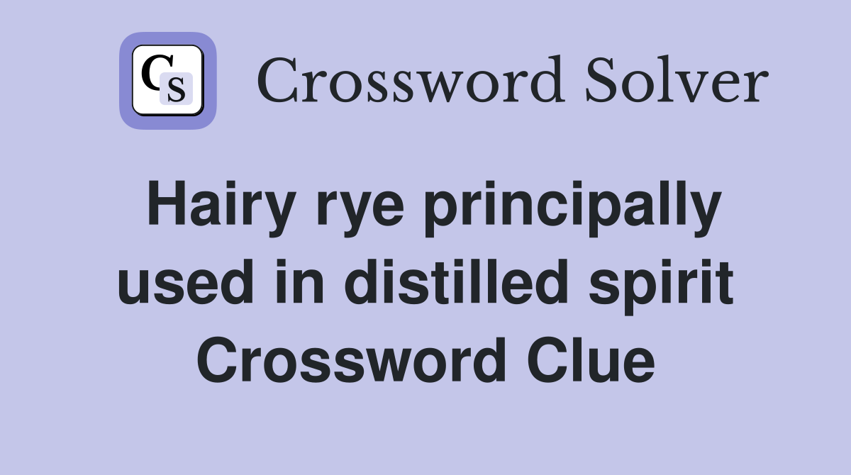 Hairy rye principally used in distilled spirit Crossword Clue