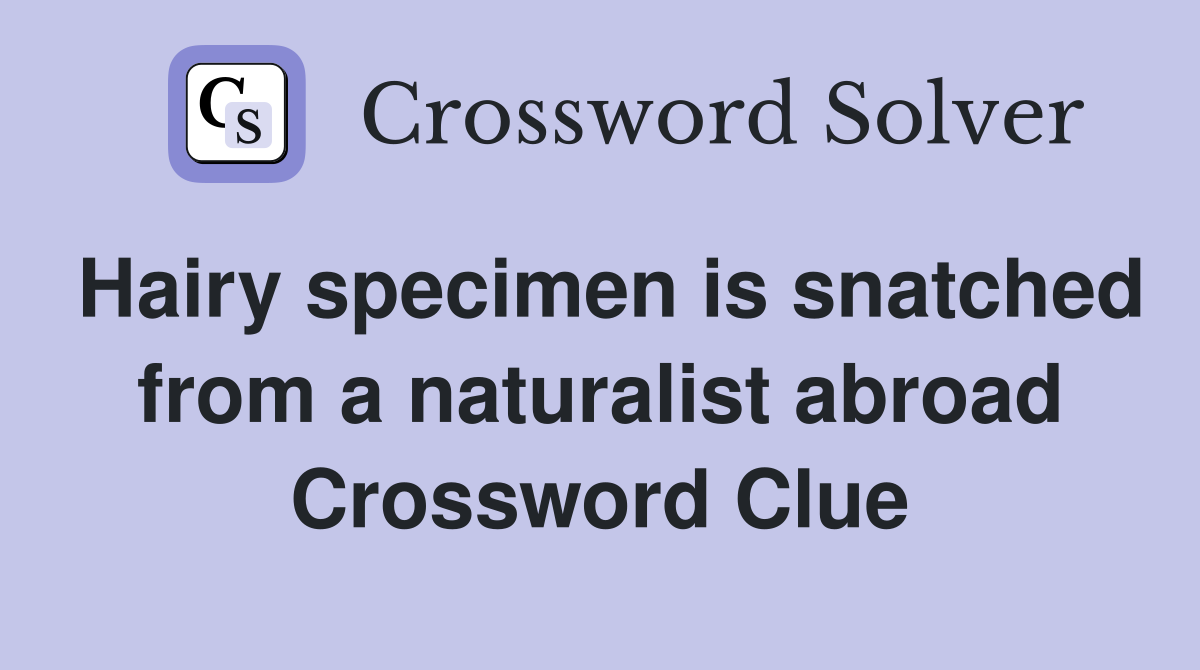 Hairy specimen is snatched from a naturalist abroad Crossword Clue