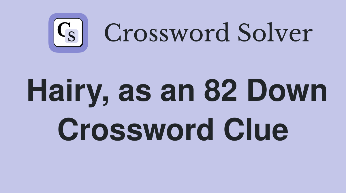 Hairy, as an 82 Down Crossword Clue