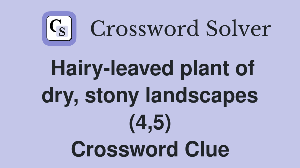Hairy-leaved plant of dry, stony landscapes (4,5) Crossword Clue