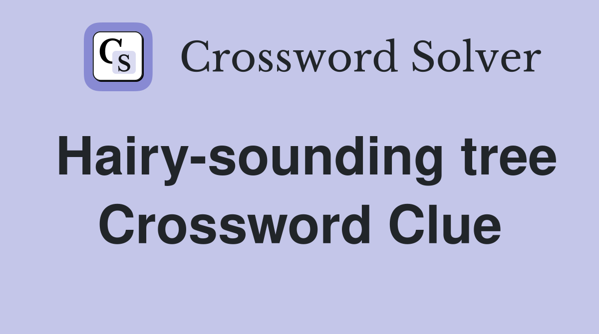 Hairy-sounding tree Crossword Clue