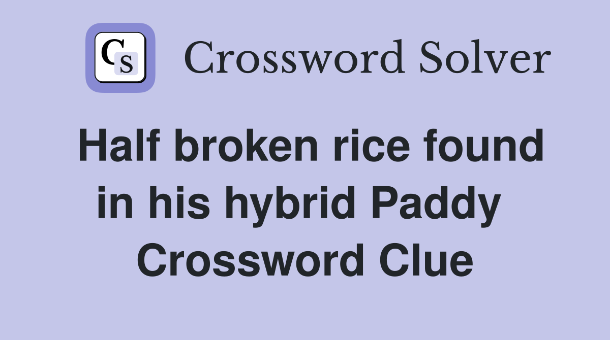 Half broken rice found in his hybrid Paddy  Crossword Clue