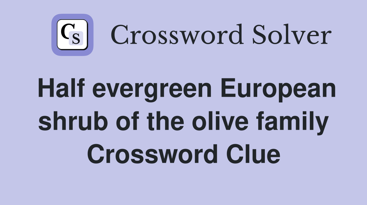Half evergreen European shrub of the olive family Crossword Clue