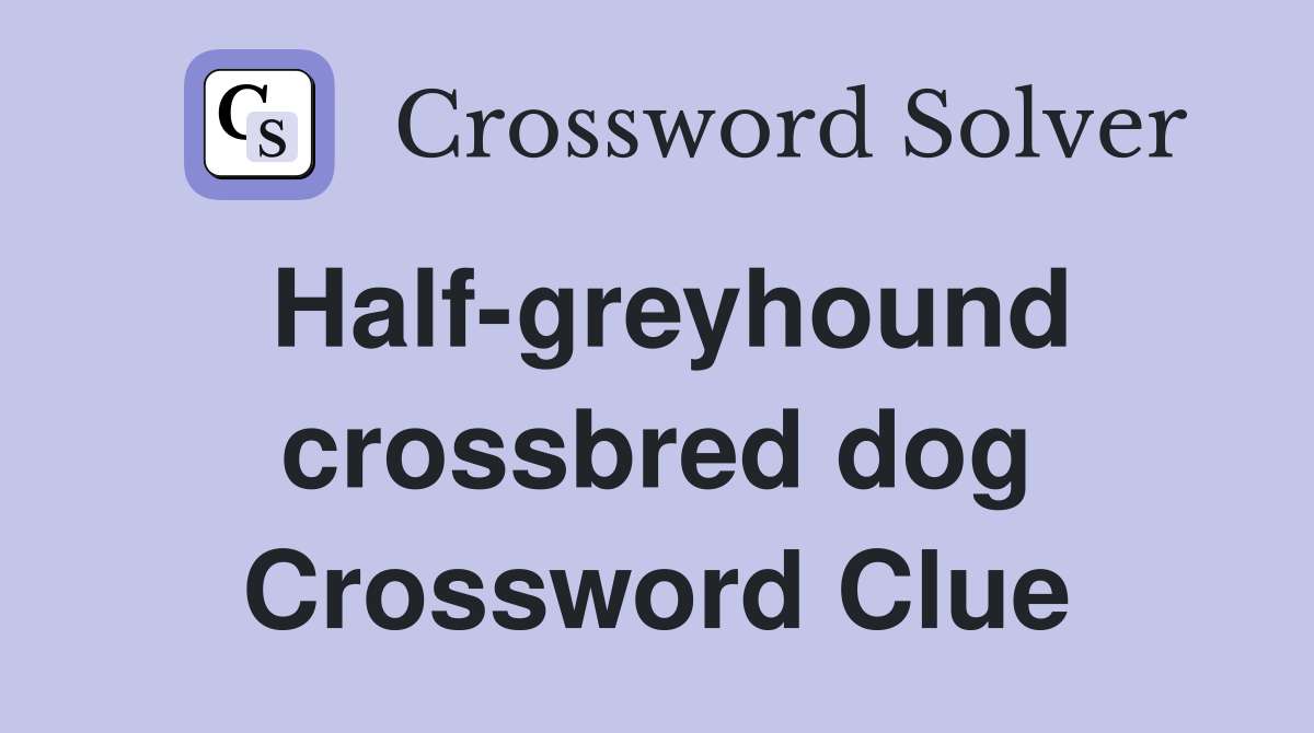 Half-greyhound crossbred dog Crossword Clue