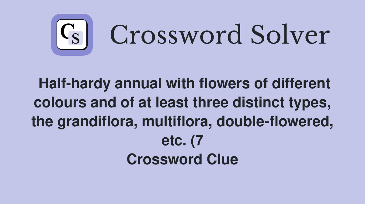 Half hardy annual with flowers of different colours and of at least Half hardy annual with flowers of different colours and of at least