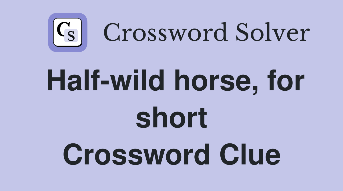 Half-wild horse, for short Crossword Clue