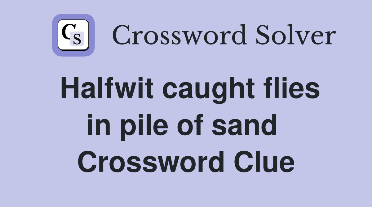 Halfwit caught flies in pile of sand  Crossword Clue