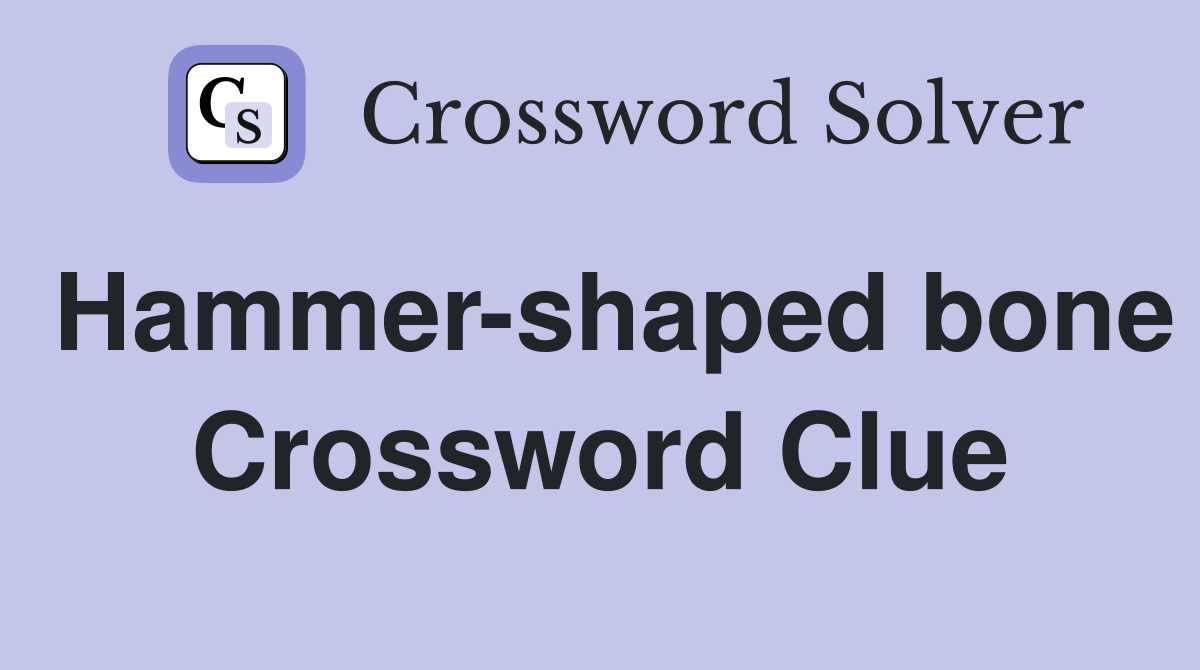 Hammer-shaped bone Crossword Clue