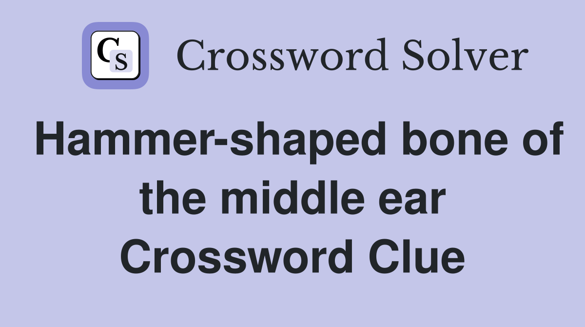Hammer-shaped bone of the middle ear Crossword Clue