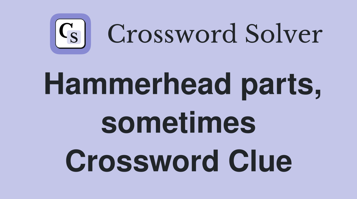 Hammerhead parts, sometimes Crossword Clue