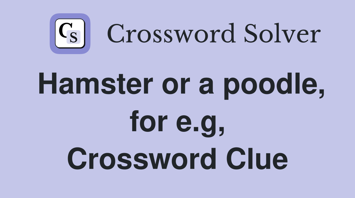 Hamster or a poodle, for e.g, Crossword Clue