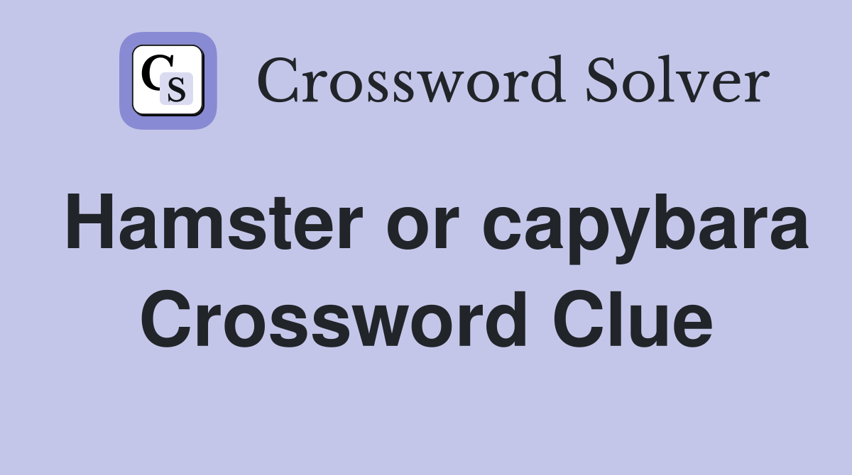 Hamster or capybara Crossword Clue