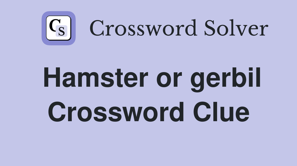 Hamster or gerbil Crossword Clue