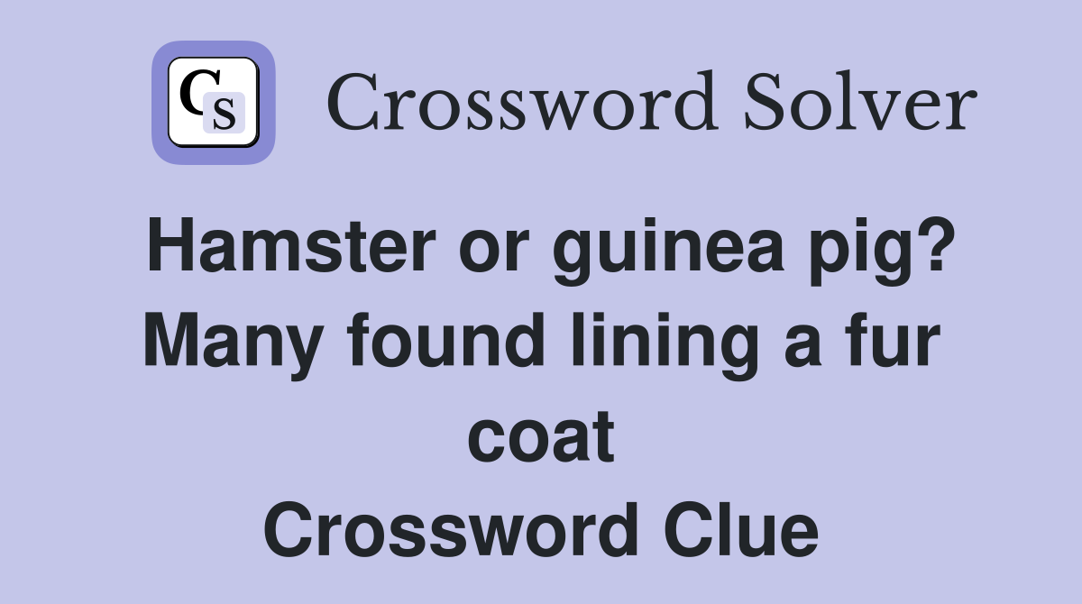 Hamster or guinea pig? Many found lining a fur coat Crossword Clue
