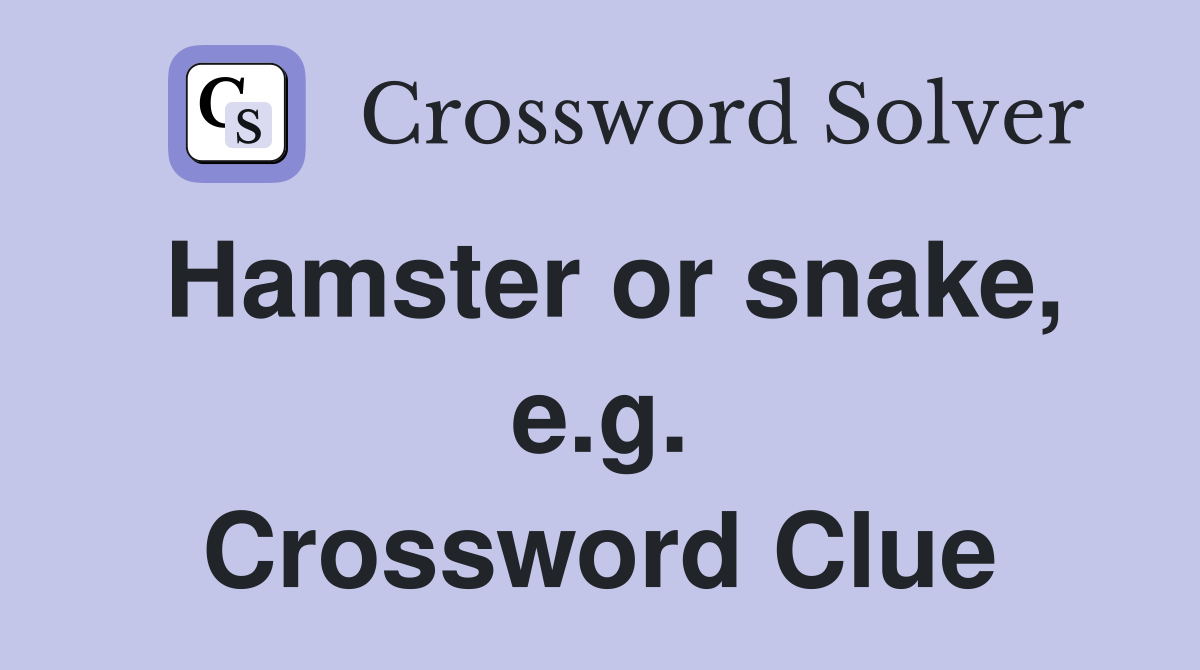 Hamster or snake, e.g. Crossword Clue