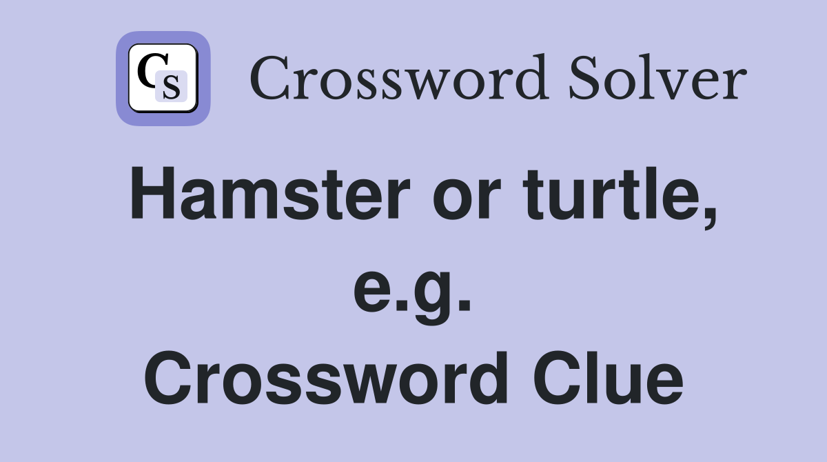 Hamster or turtle, e.g. Crossword Clue