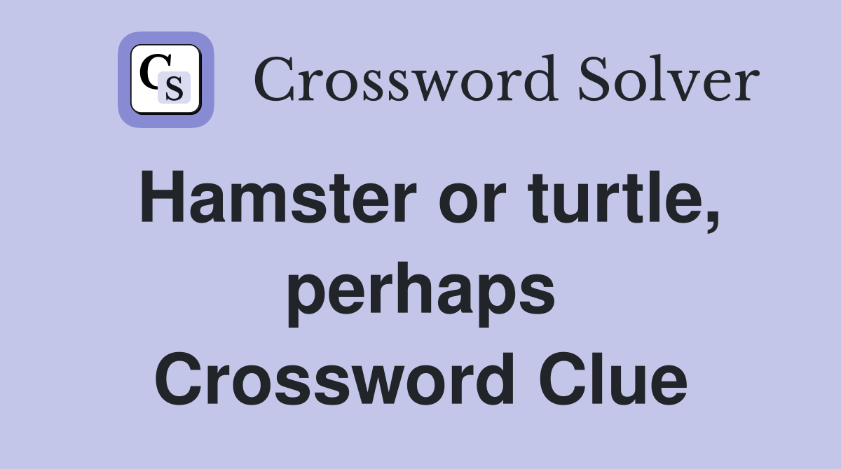 Hamster or turtle, perhaps Crossword Clue