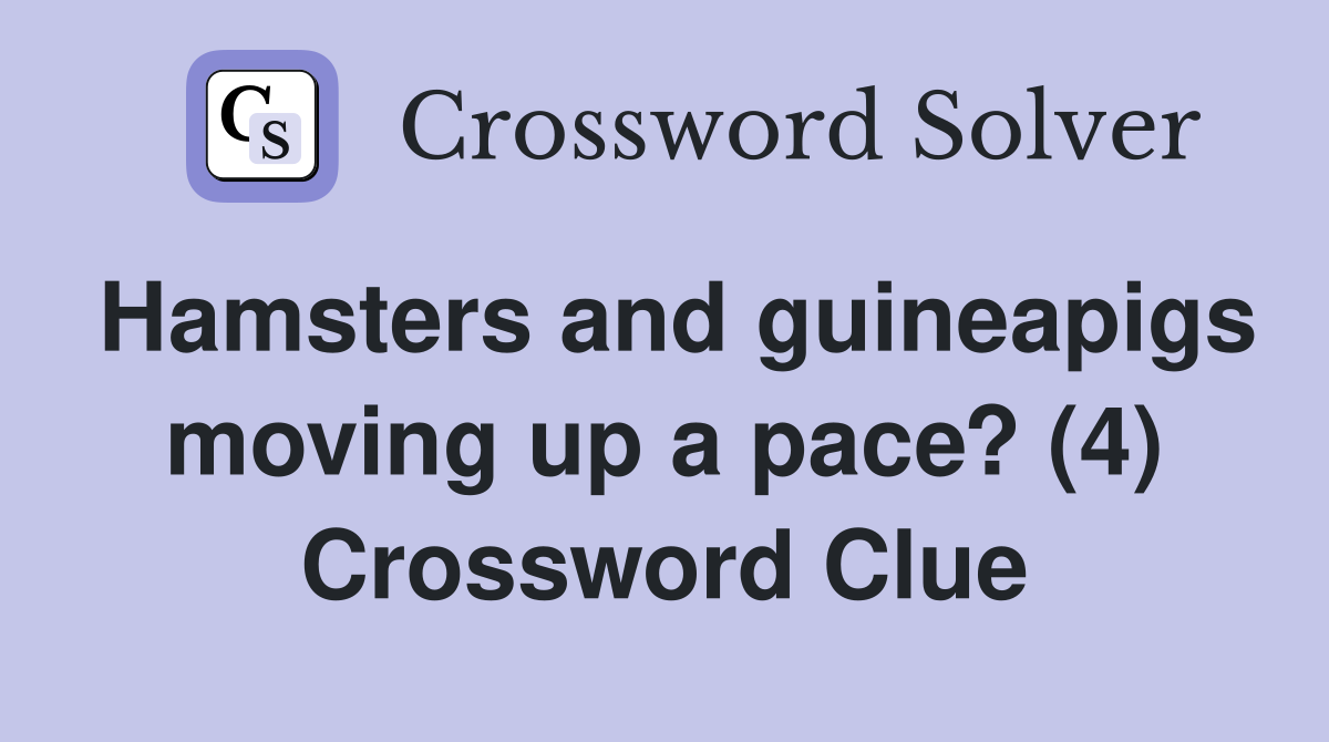 Hamsters and guineapigs moving up a pace? (4) Crossword Clue