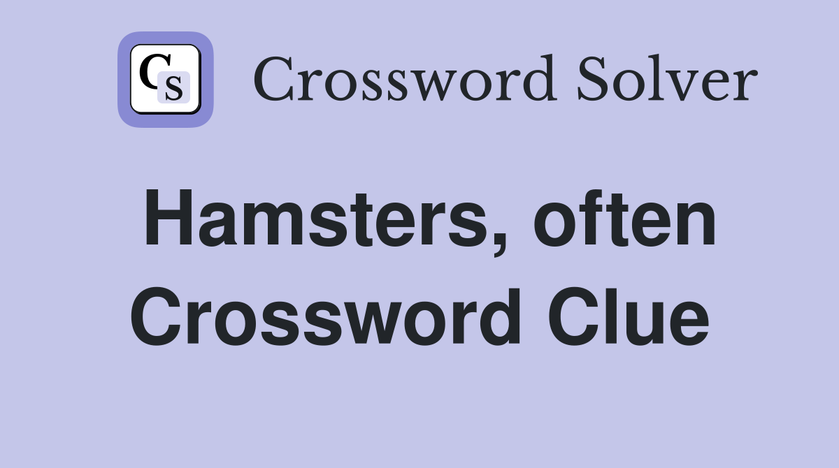 Hamsters, often Crossword Clue