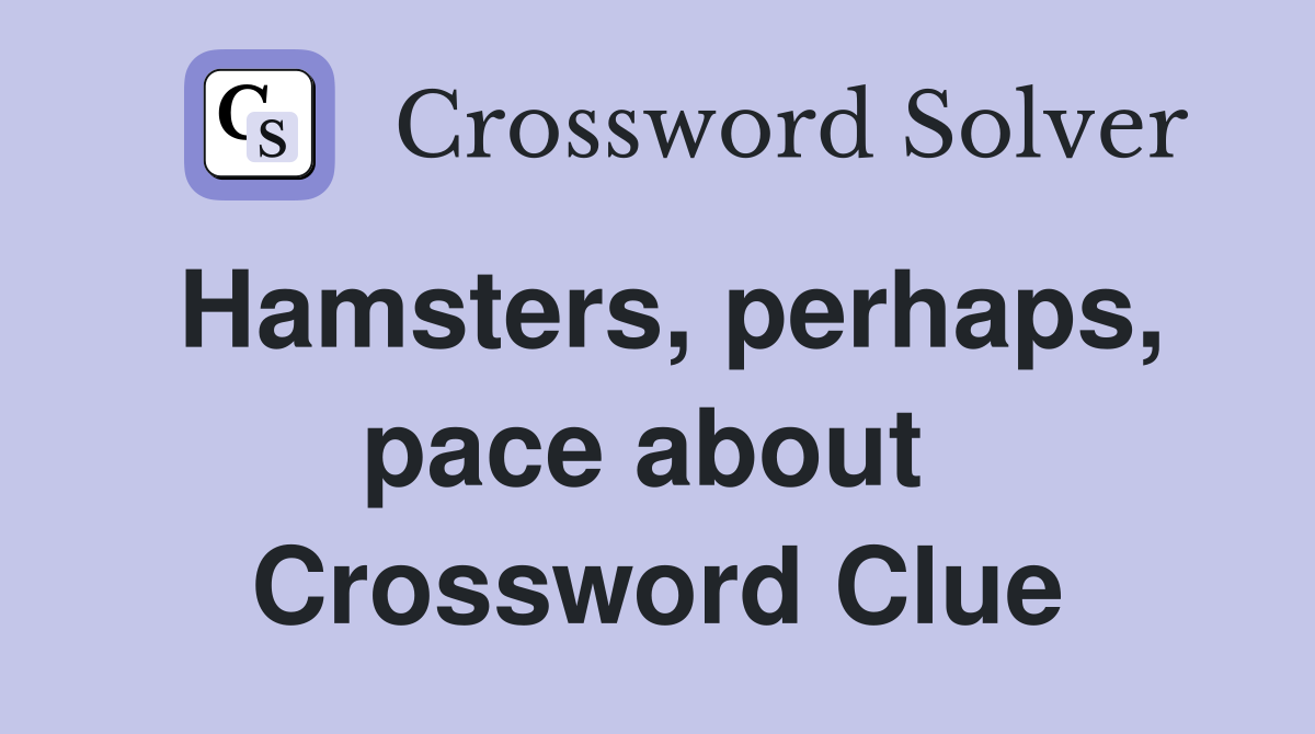 Hamsters, perhaps, pace about  Crossword Clue
