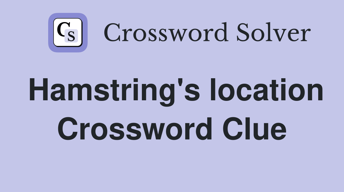 Hamstring's location Crossword Clue