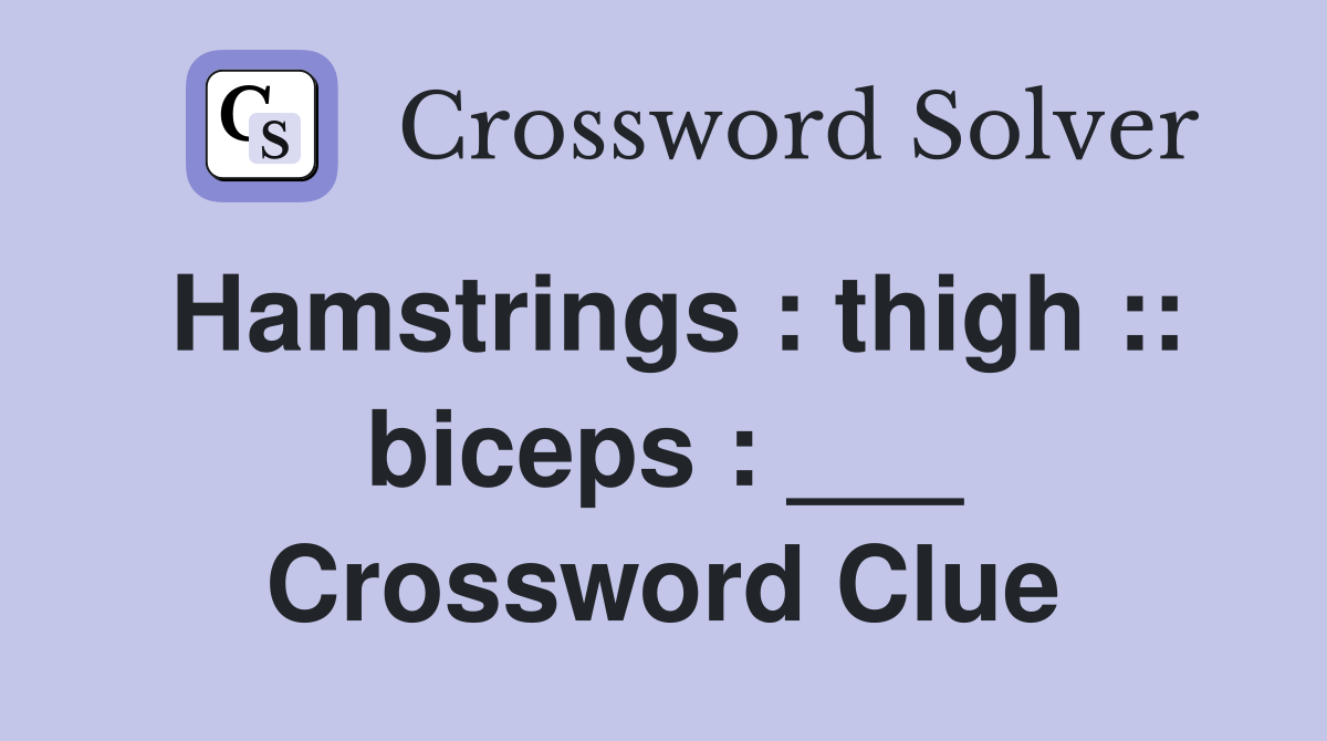 Hamstrings : thigh :: biceps : ___ Crossword Clue